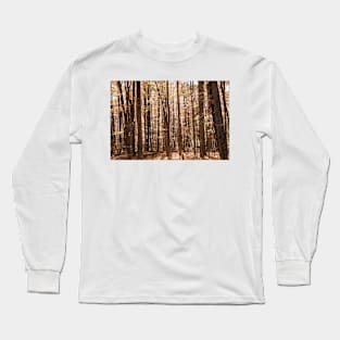 Autumn deep in forest scene on a trail in New England countryside, USA. Long Sleeve T-Shirt